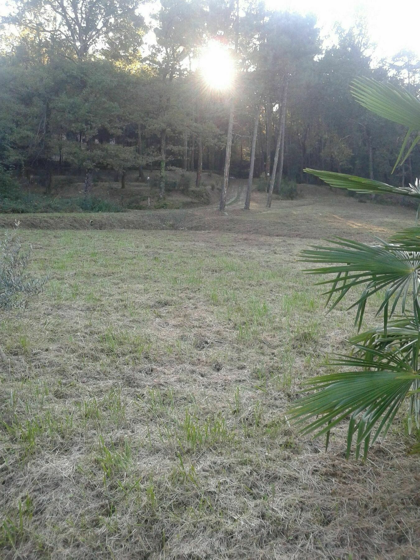 Park View Country House B&B คาปานโนริ ภายนอก รูปภาพ
